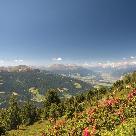 Hotel-Grauer-Baer-Innsbruck-Tirol-Wandern-Zirbenweg